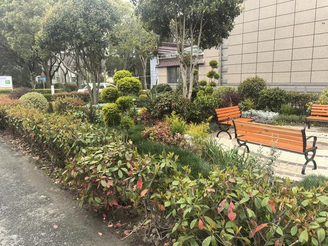 园”“一桌四椅”如何让居民变身“当家人”？麻将胡了免费试玩从