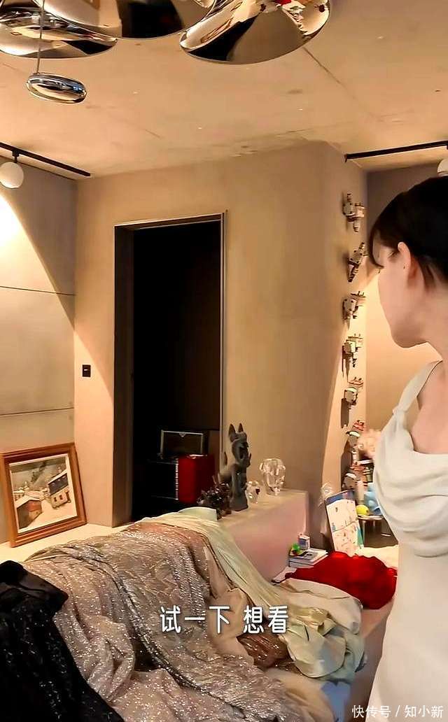 引热议别墅内景公开居住环境成焦点麻将胡了试玩模拟器梅婷豪宅生活(图7)